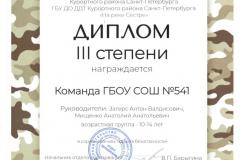 1 Диплом III степени Команда ГБОУ СОШ №541
